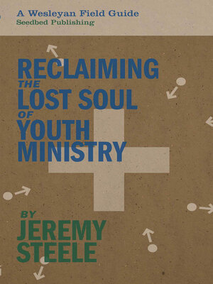 cover image of Reclaiming the Lost Soul of Youth Ministry